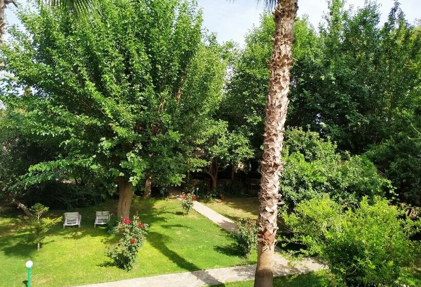 غرفة قياسية, Olympos Yavuz