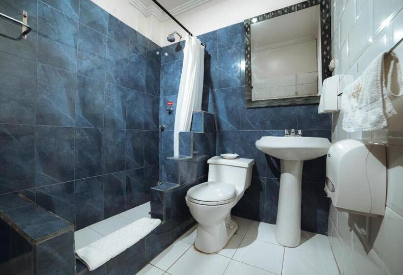 غرفة قياسية, Gran Hotel París