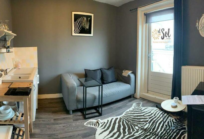 اتاق استاندارد با تراس, El Sol Zandvoort