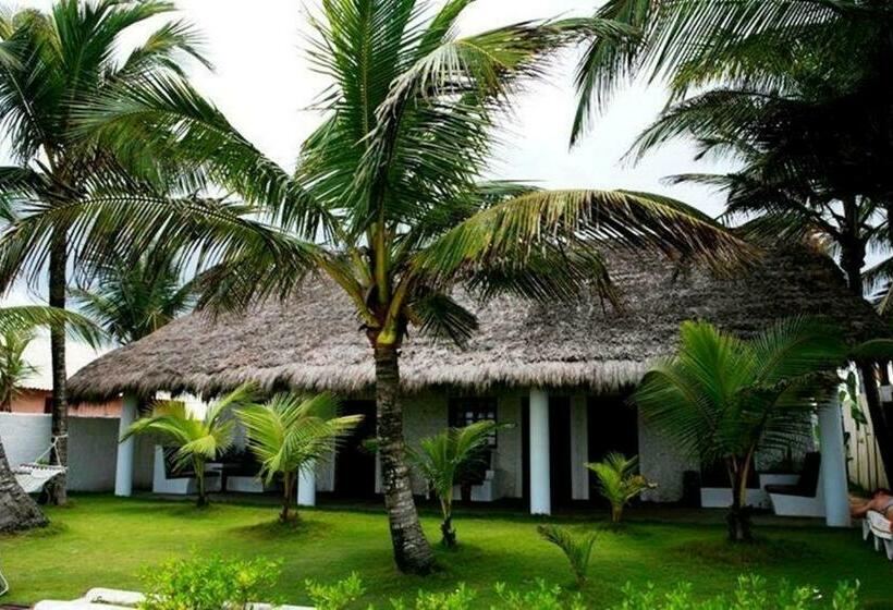 اتاق استاندارد, O Sole Mio