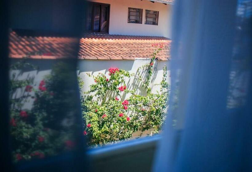 スタンダードシングルルーム, Palugi