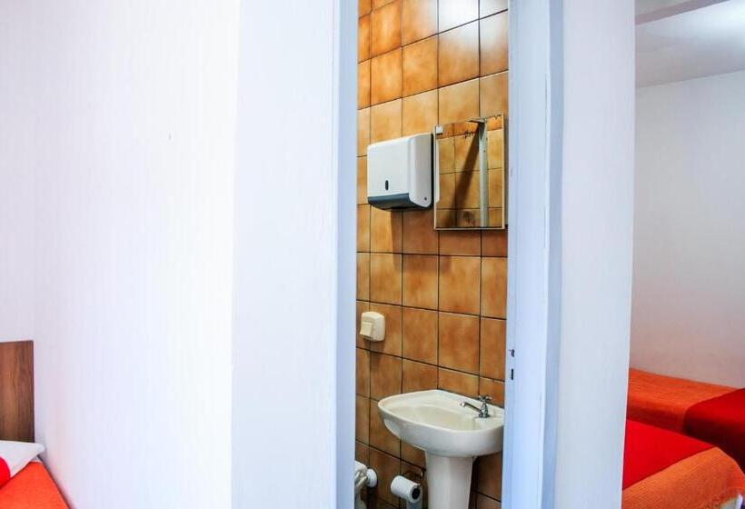 スタンダードルーム, Palugi