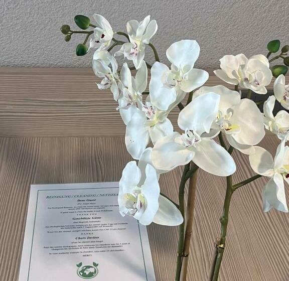 חדר סטנדרט, The River Village