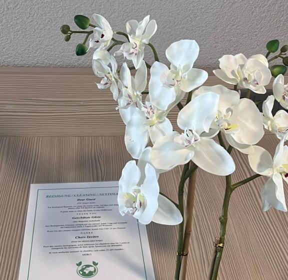 חדר אקונומי, The River Village