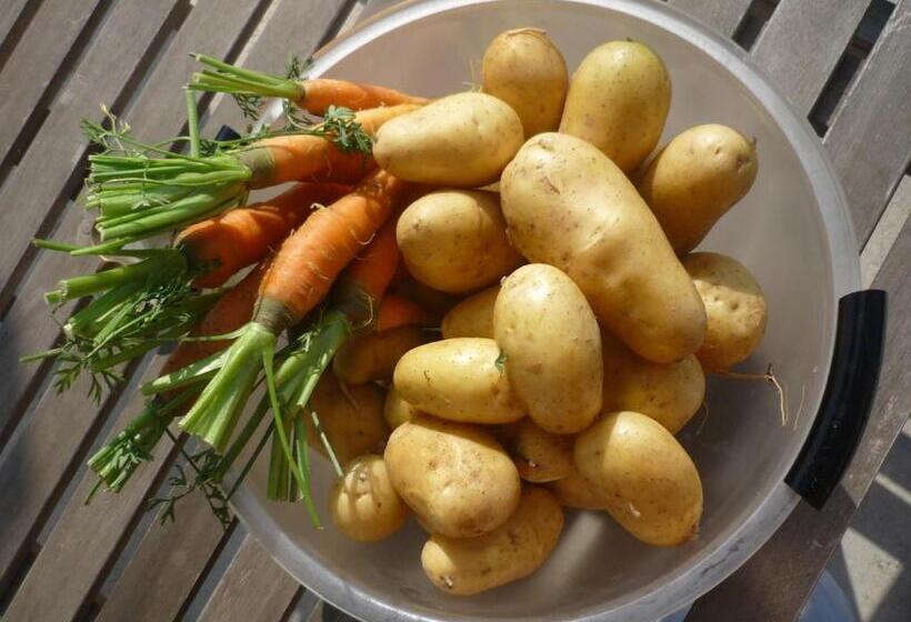 Standard room with outdoor bath, La Ratatouille Agriturismo