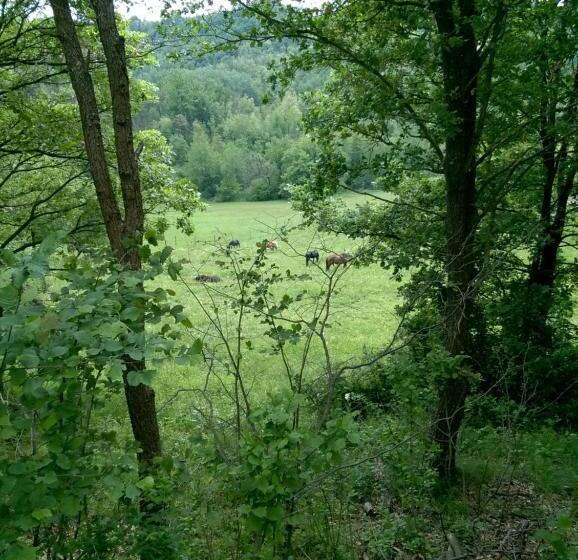Standard room with outdoor bath, La Ratatouille Agriturismo