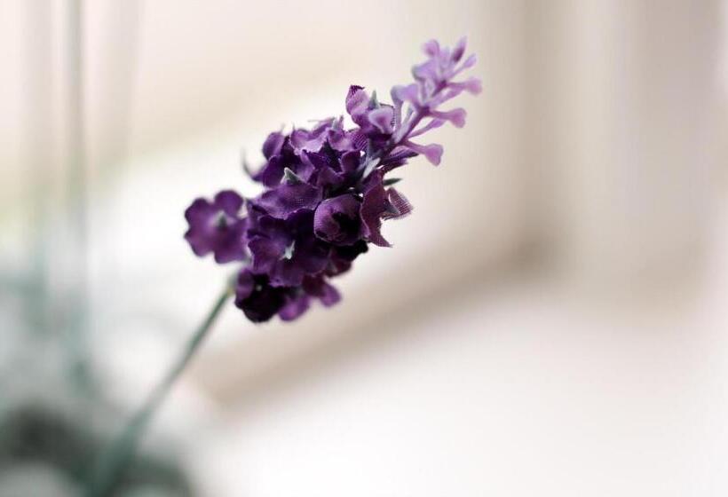 スタンダードルーム, Pensionat Prästgården