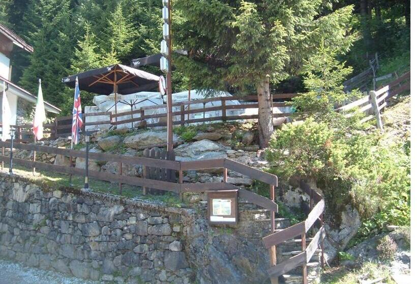 Номер Стандарт, Albergo Pineta