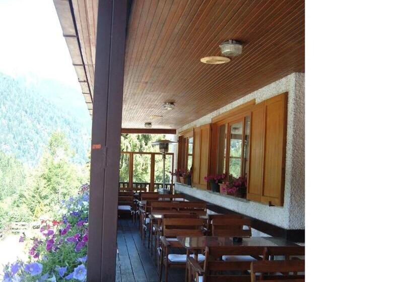 Номер Стандарт, Albergo Pineta