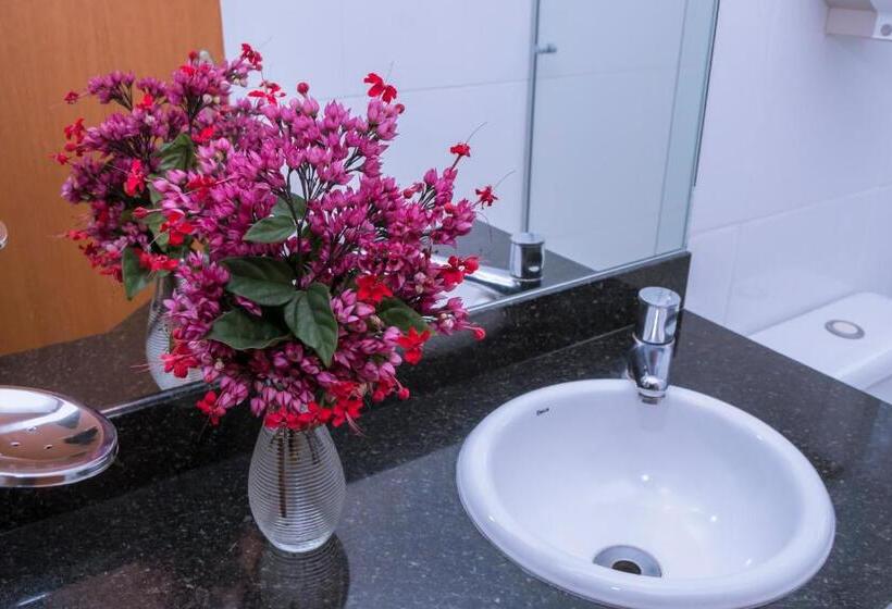 标准单人间, Bandeirantes