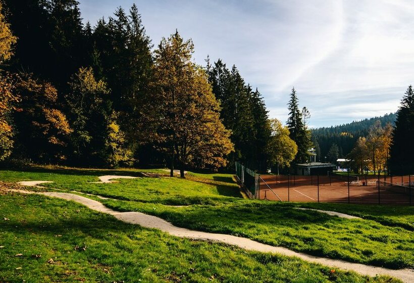 Номер Стандарт, Ski