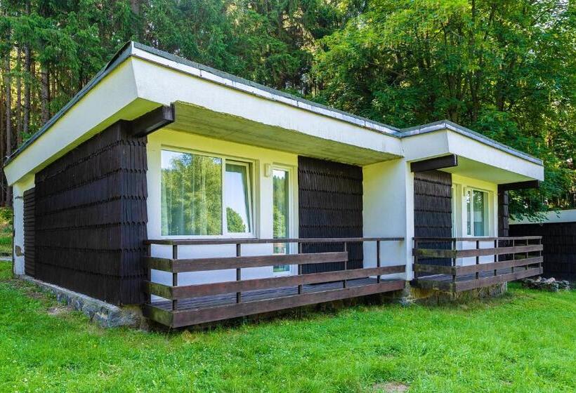 Семейное Бунгало, Ski