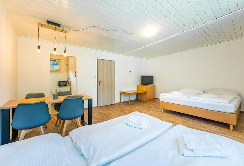 Семейное Бунгало, Ski