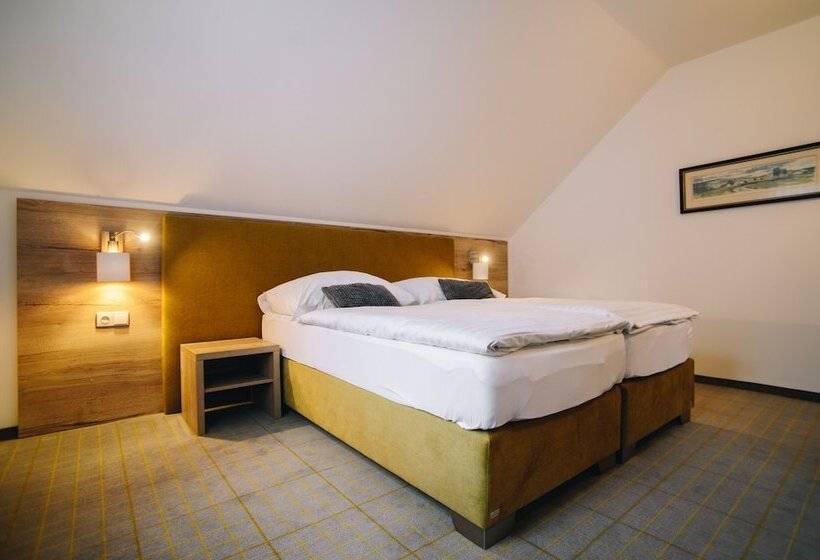 Номер Стандарт, Ski