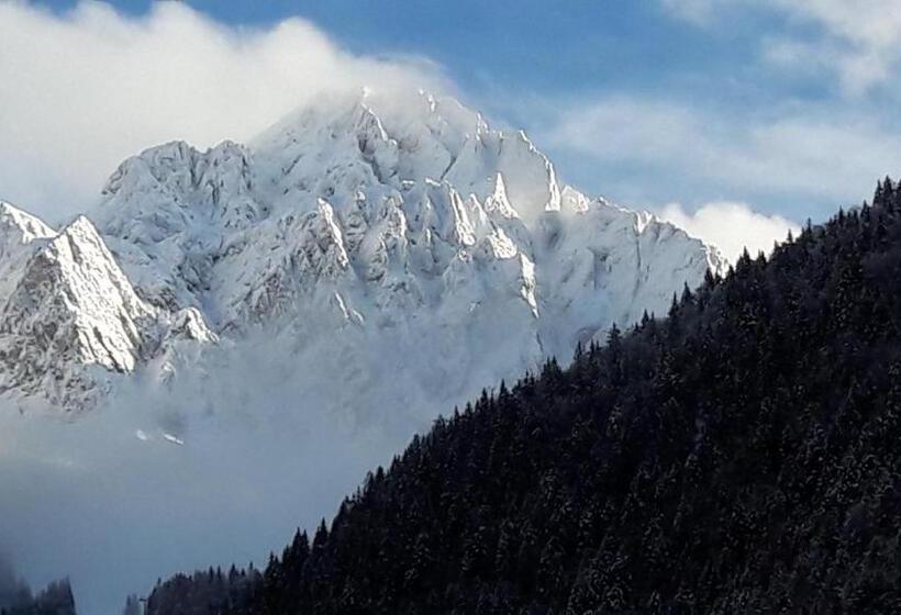 חדר משפחתי, Olimpic Hostel