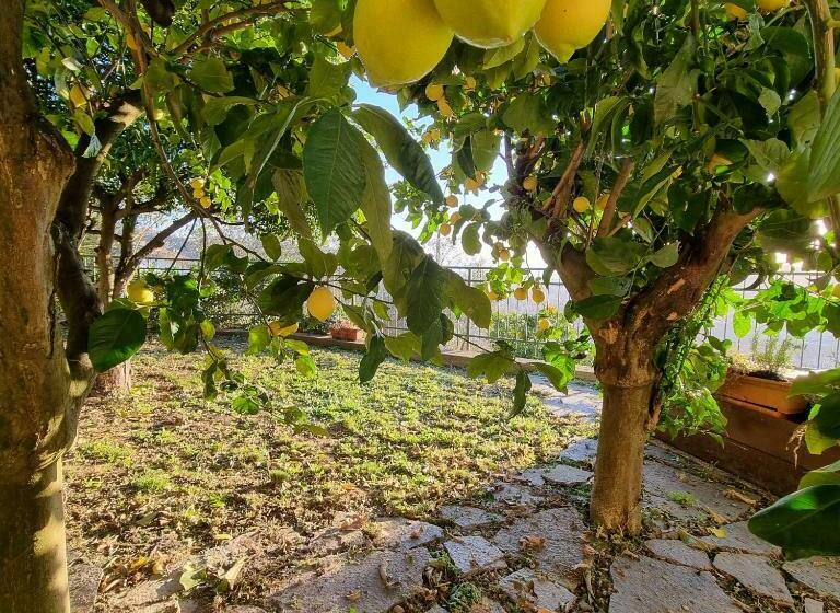 غرفة ديلوكس, B&b La Terrazza Sui Fieschi