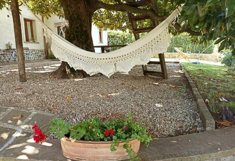 חדר סטנדרט, Sole Mio