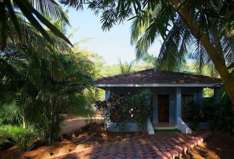 Chambre Standard Vue Jardin, Dunhill Beach Resort