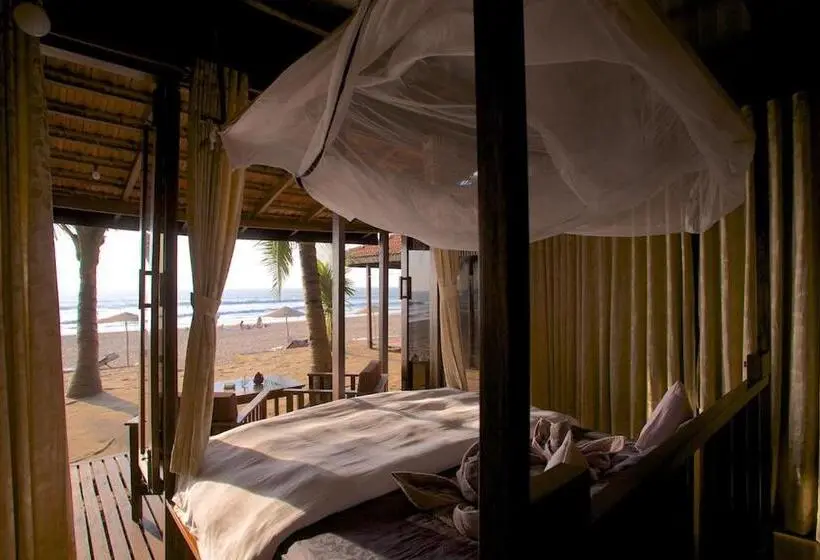 デラックスキャビン, Dunhill Beach Resort