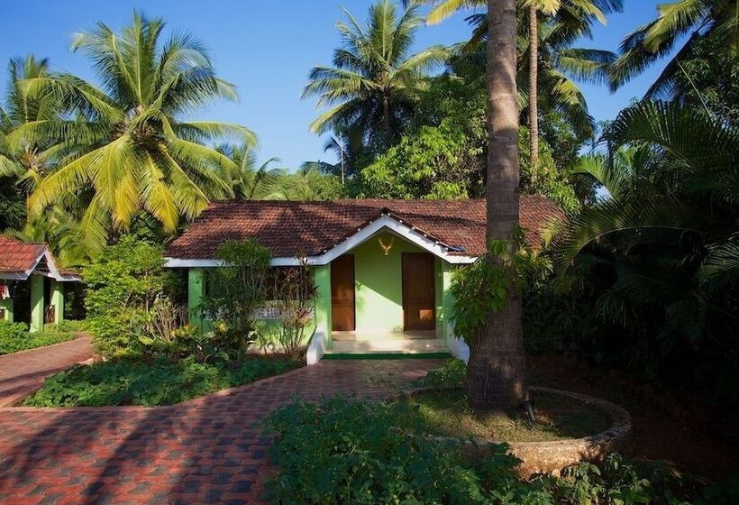 Chambre Standard Vue Jardin, Dunhill Beach Resort