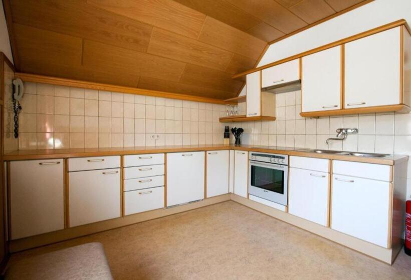 带1个卧室的公寓, Bergkristall