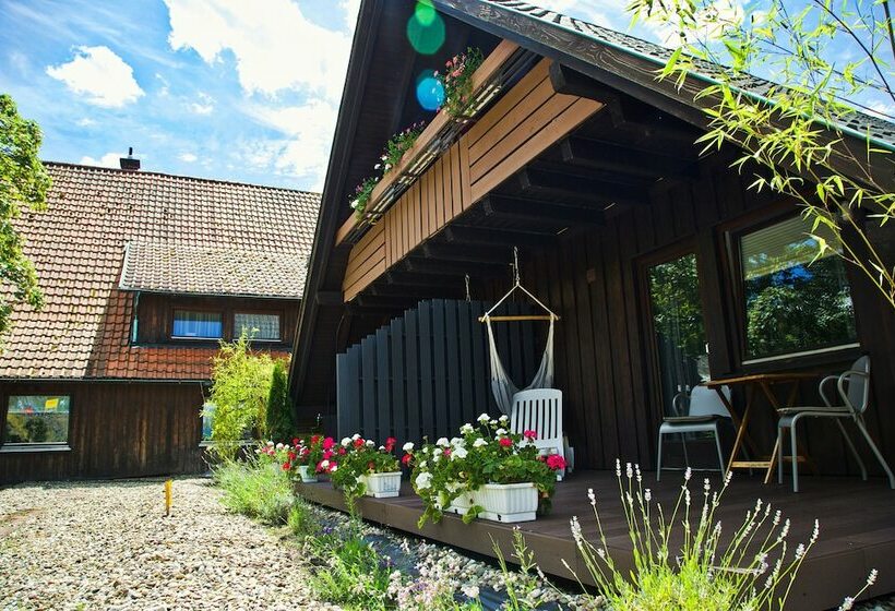 Номер Стандарт с Балконом, Das Waldhaus