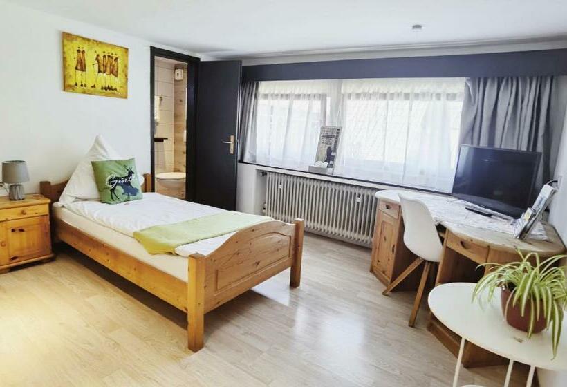 标准单人间, Das Waldhaus