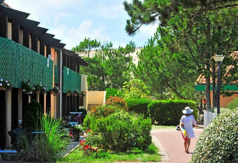 Номер Стандарт, Vtf La Forestière