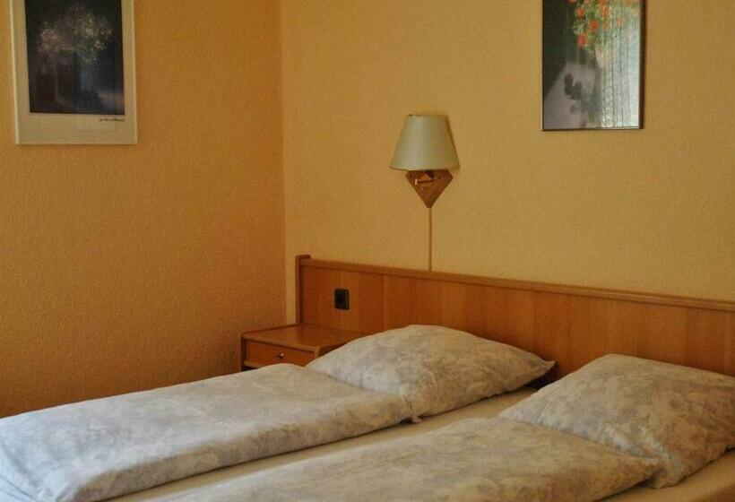 Номер Стандарт, Waldhotel Einstein