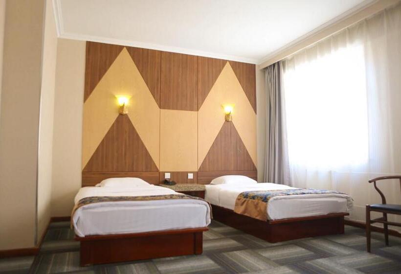 اتاق سوپریور, Zolo