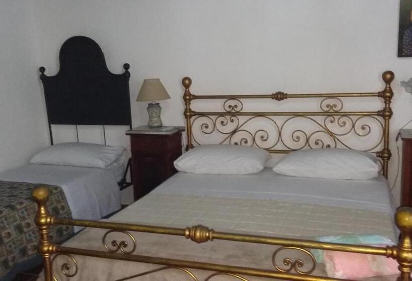 豪华三人间, B&b Lemon Garden