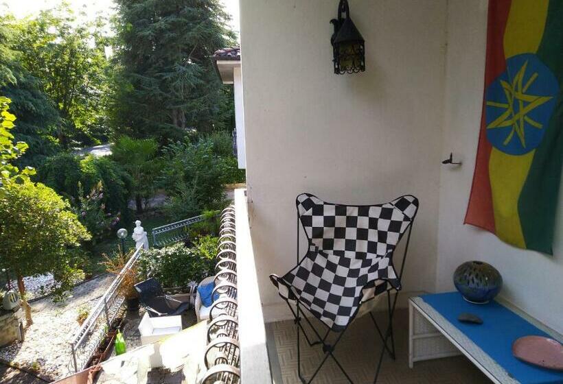 Номер Стандарт, Butterfly B&b