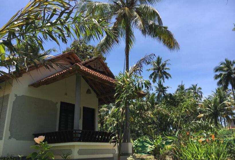 بانگلوی لوکس, Divine Bliss Beach Resort