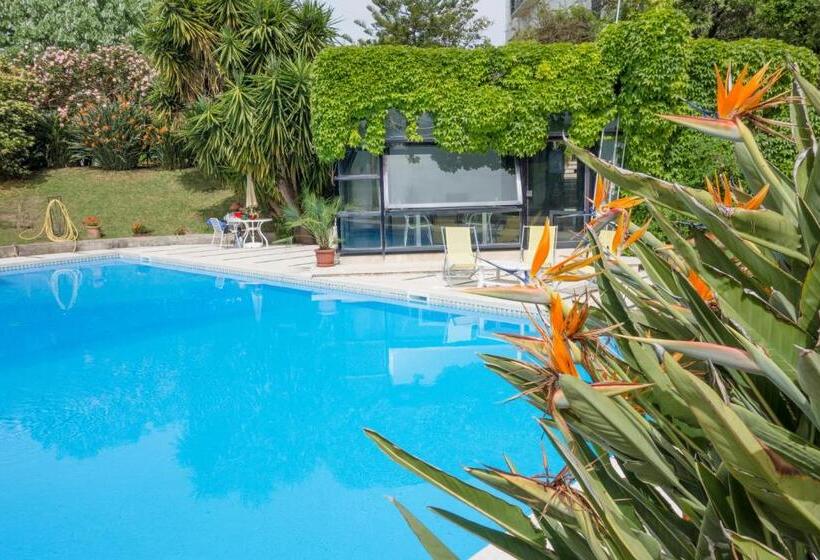 マウンテンビュースタンダードルーム, B&b Casina De Goyzueta