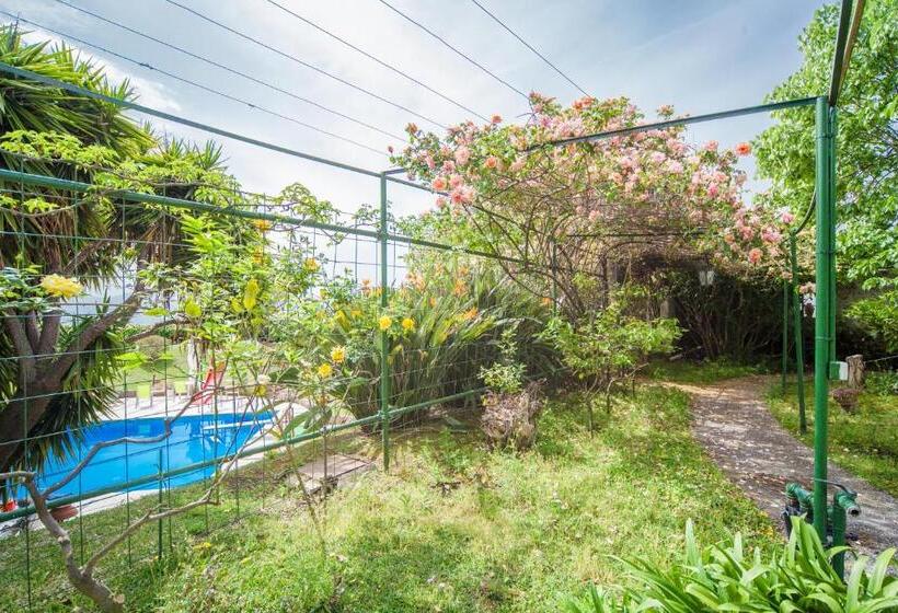 Quarto Estandar, B&b Casina De Goyzueta
