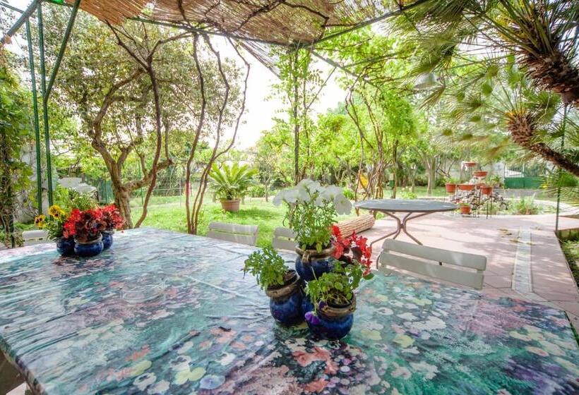 ガーデンビュースタンダードルーム, B&b Casina De Goyzueta