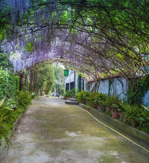 オーシャンビューのデラックストリプルルーム, B&b Casina De Goyzueta