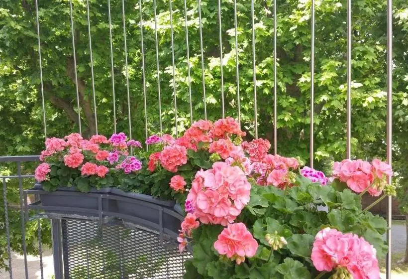 1ベッドルームのデラックスアパートメント, B&b Leterrazze Boutique Hotel Torino