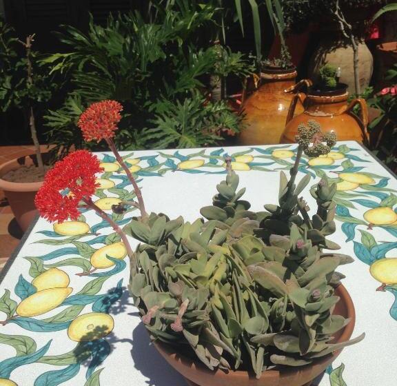 带海景的标准房, Colapesce