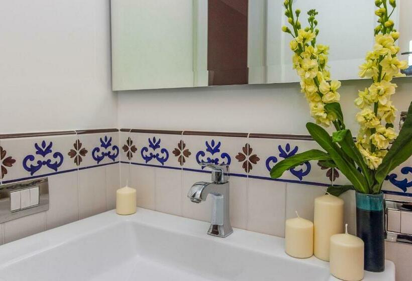 スタンダードルーム, Diecisedici