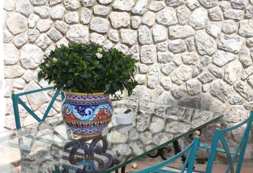 ジュニアスイート, Diecisedici