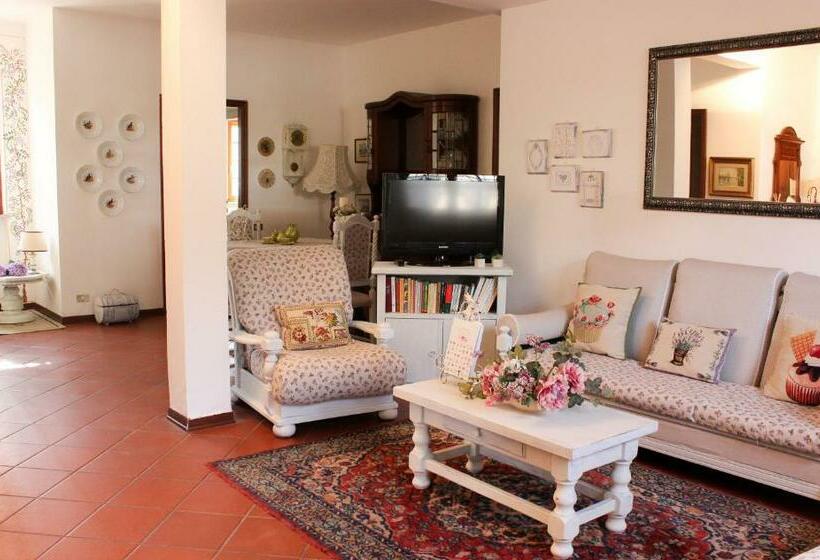 Номер Стандарт, Lilla