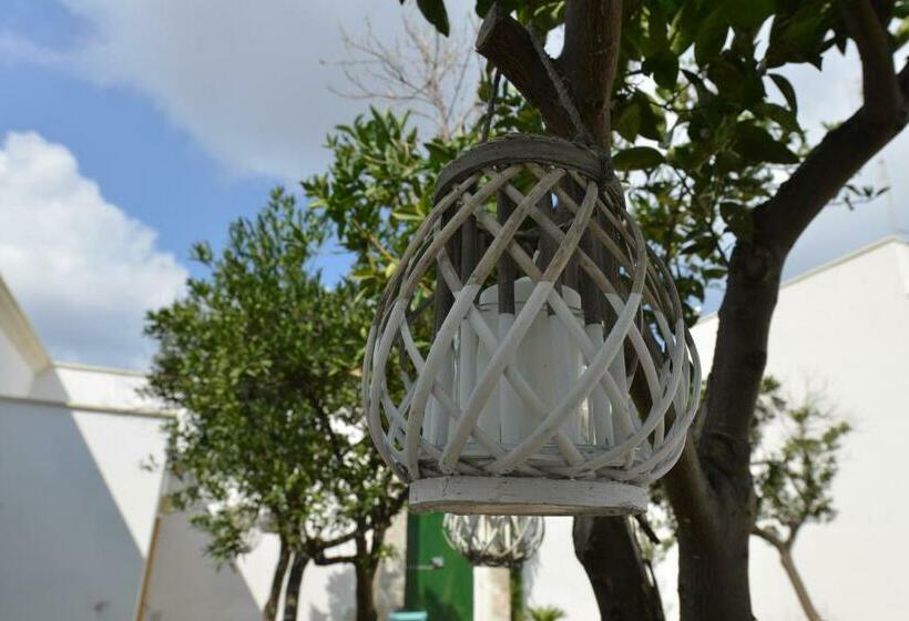 Номер Стандарт, B&b Santachiara