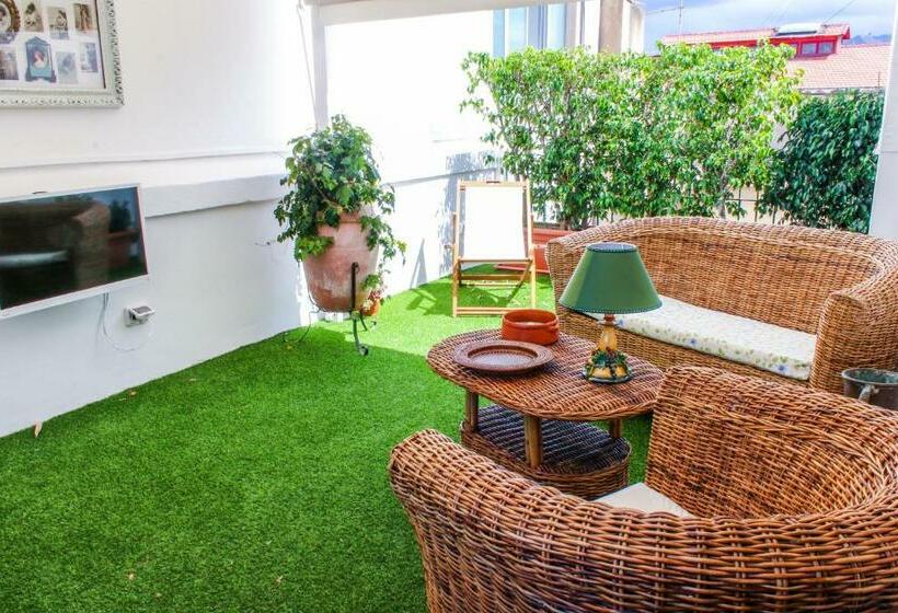 Suite with Terrace, 96 Guest House