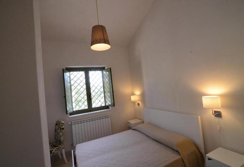 Номер Стандарт, Tenuta Don Paolino