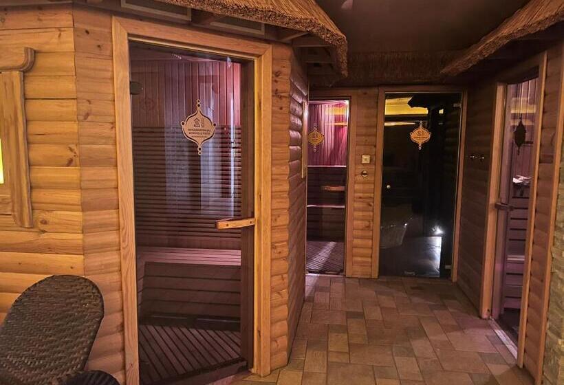 اتاق استاندارد با دسترسی به اسپا, Baltazaras