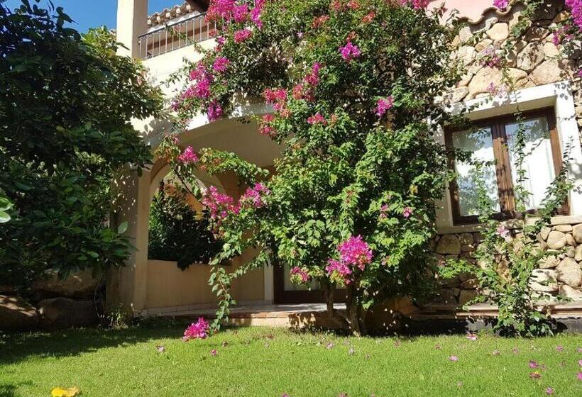 ジュニアスイート, Mariposas