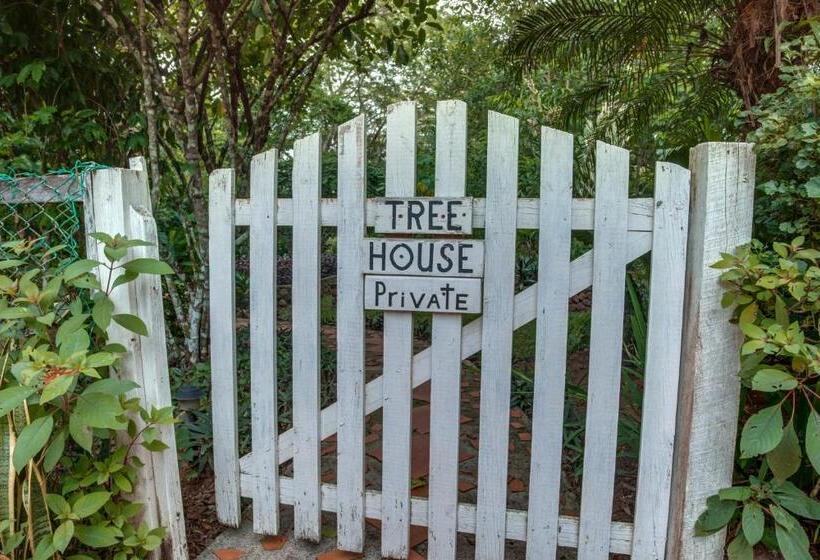 בקתה סופריור, Sweet Songs Jungle Lodge