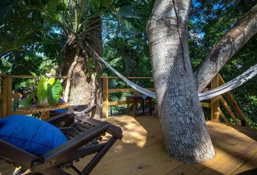 بانگلوی سوپریور, Sweet Songs Jungle Lodge