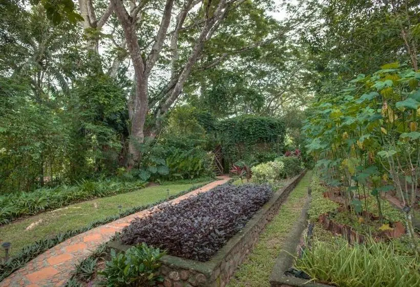 بانگلوی سوپریور, Sweet Songs Jungle Lodge